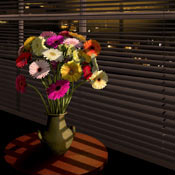 gerberas