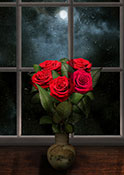 roses and moon