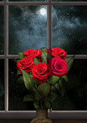 rose moon