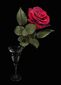 rose in a glass