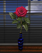 rose and shuter