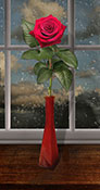 rose and rainy day