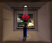 rose sunset