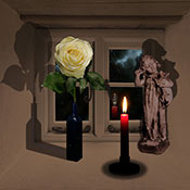 rose white and candle