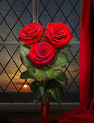 roses still life