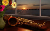 saxophone gerberas