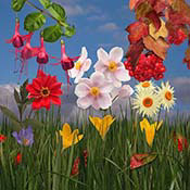 autumn-flower-scene