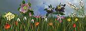 wimter-flower-scene-pano