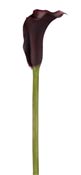 lily-calla-dark-red